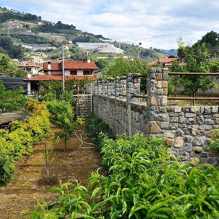 Le Rose Βίλα San Biagio della Cima Εξωτερικό φωτογραφία