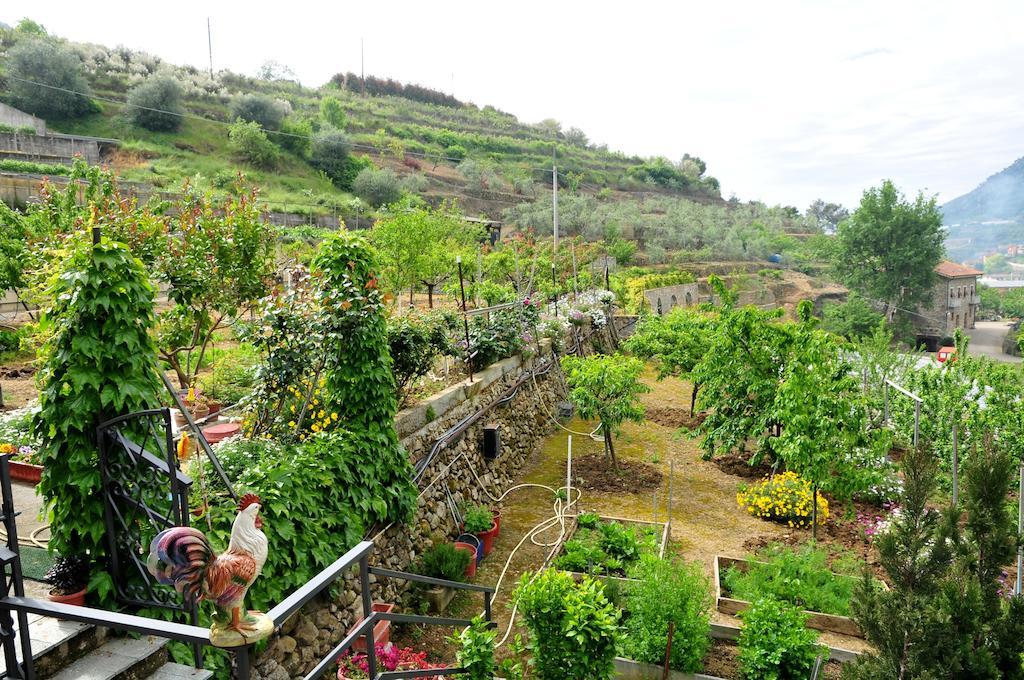Le Rose Βίλα San Biagio della Cima Εξωτερικό φωτογραφία