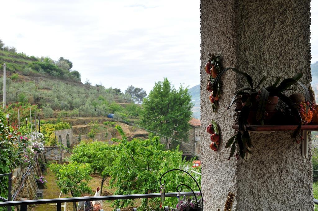 Le Rose Βίλα San Biagio della Cima Εξωτερικό φωτογραφία